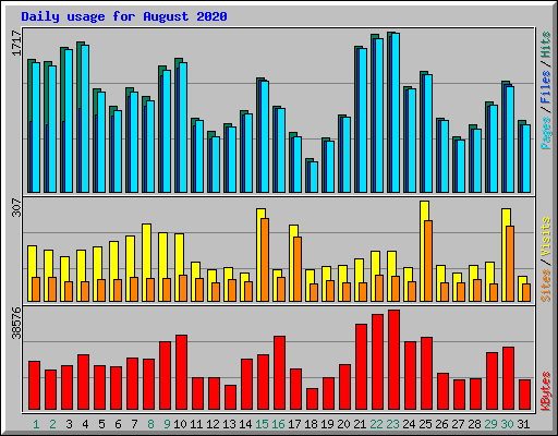 Daily usage for August 2020