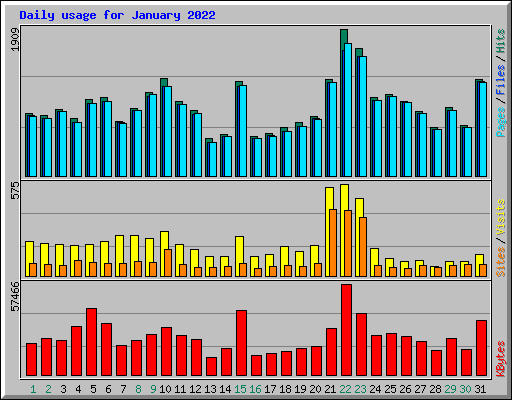 Daily usage for January 2022