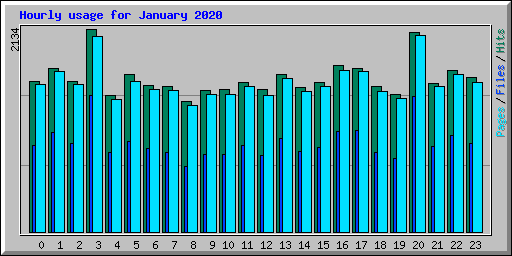 Hourly usage for January 2020