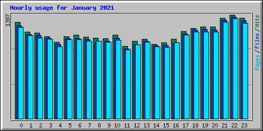 Hourly usage for January 2021