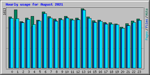 Hourly usage for August 2021