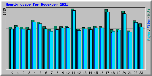 Hourly usage for November 2021