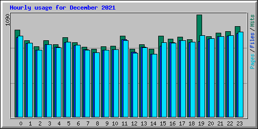 Hourly usage for December 2021