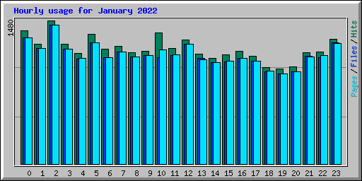 Hourly usage for January 2022