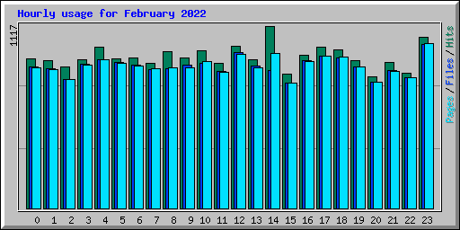 Hourly usage for February 2022