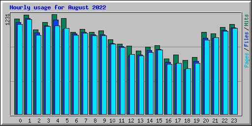 Hourly usage for August 2022